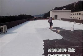 o防水工程报价, 防水补漏工程, 工厂防水补漏工程